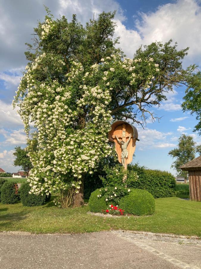 Fruehstueckspension Herzog Zu Laah Ansfelden Esterno foto