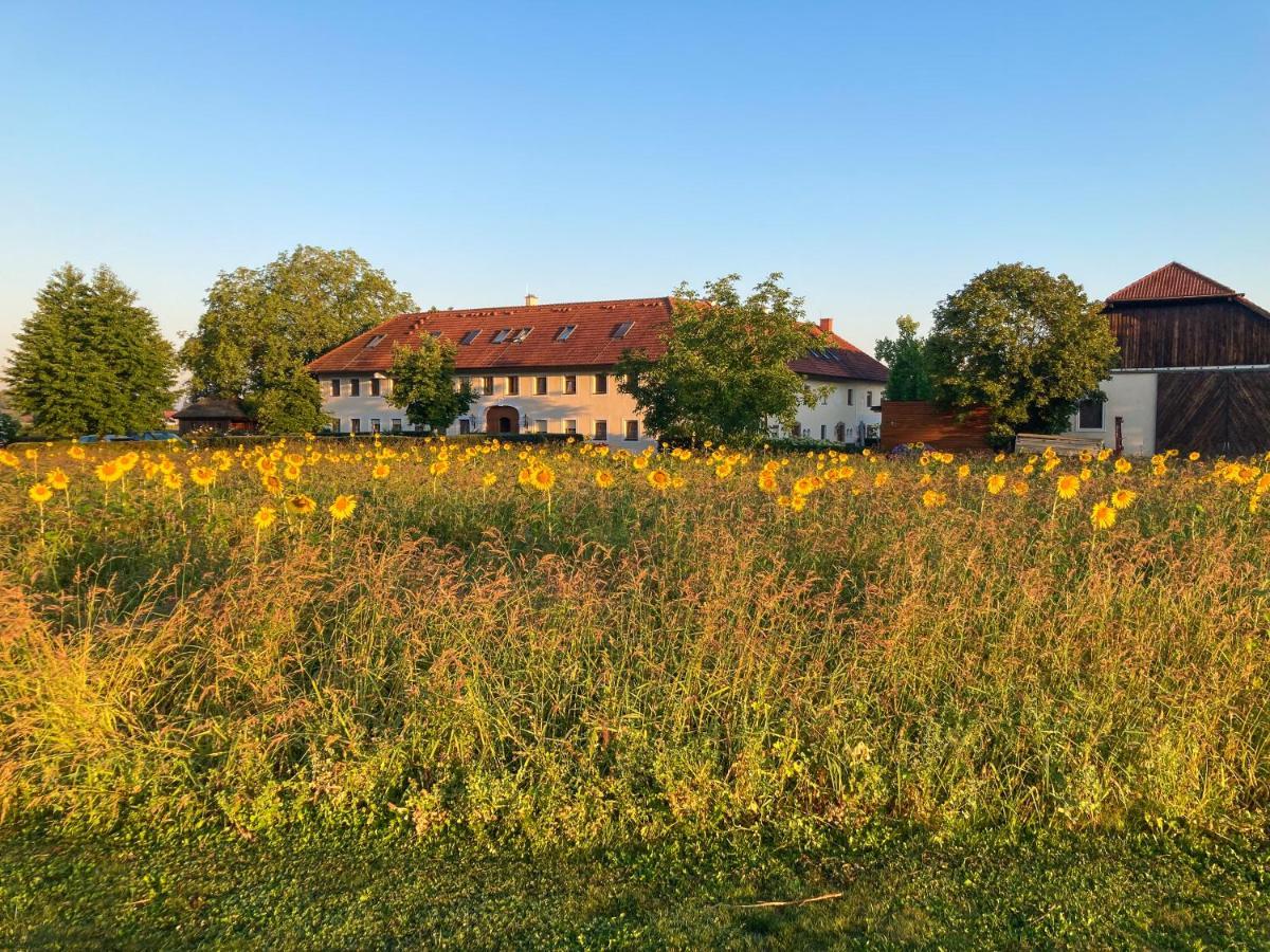 Fruehstueckspension Herzog Zu Laah Ansfelden Esterno foto