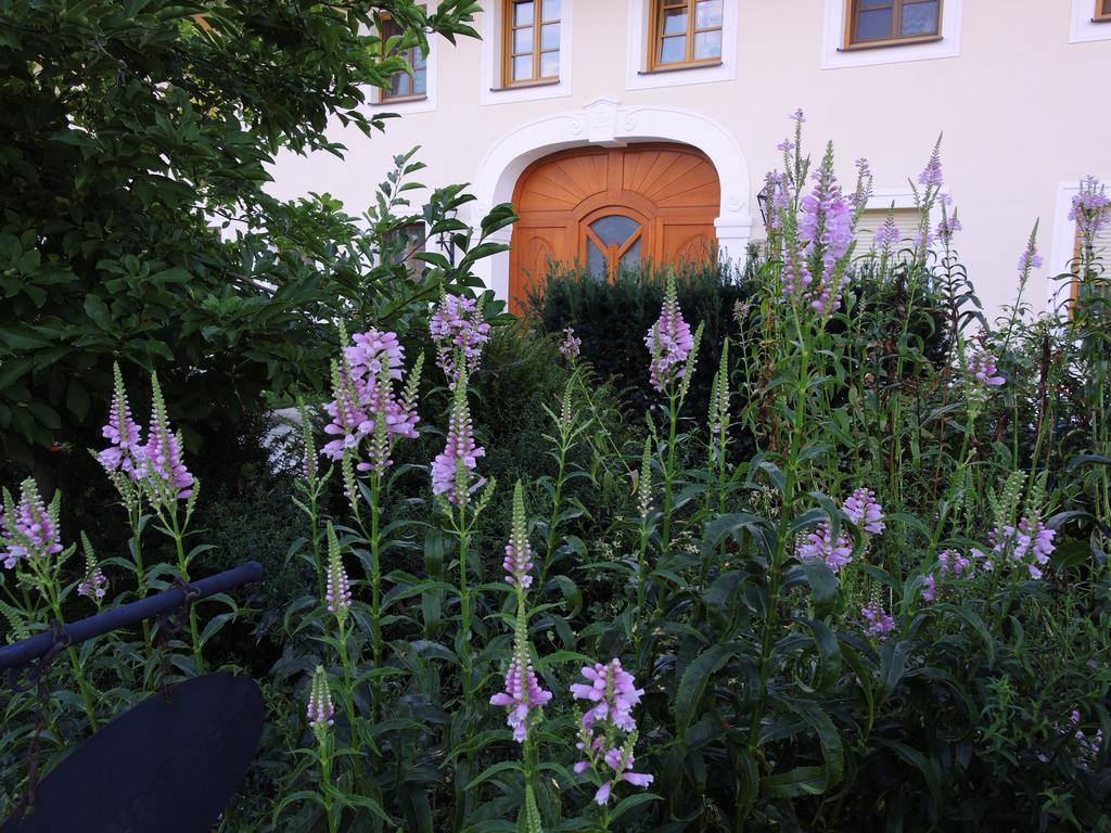 Fruehstueckspension Herzog Zu Laah Ansfelden Esterno foto